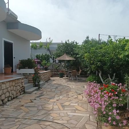 קסאמיל Vila Rexhaj מראה חיצוני תמונה