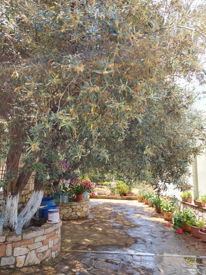 קסאמיל Vila Rexhaj מראה חיצוני תמונה
