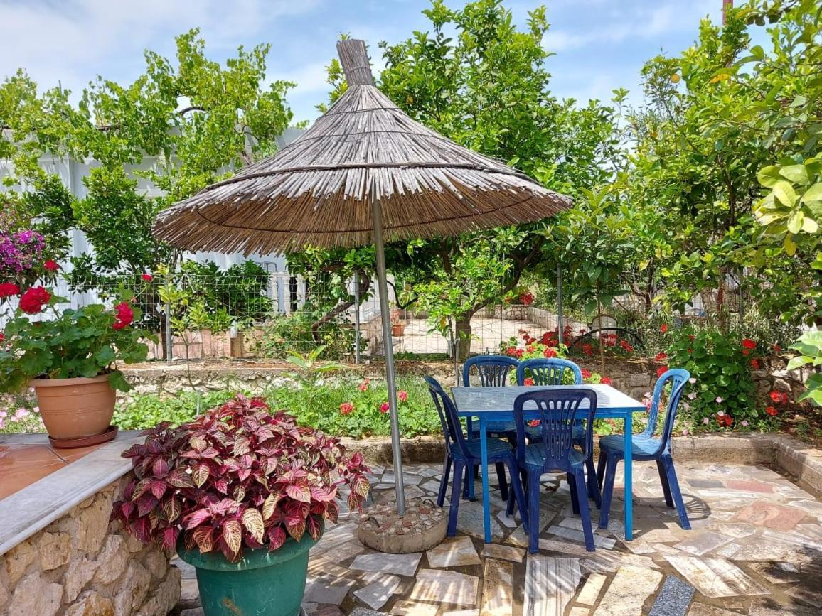 קסאמיל Vila Rexhaj מראה חיצוני תמונה
