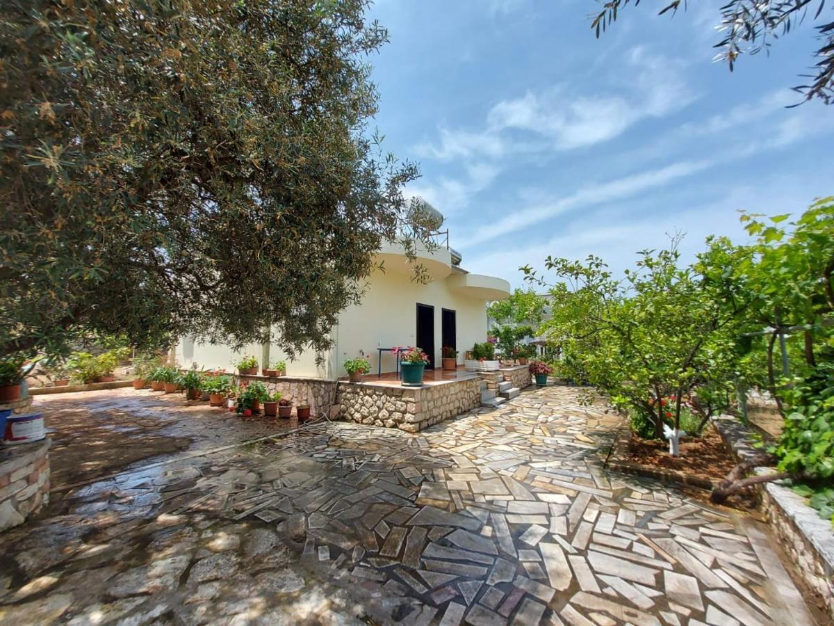 קסאמיל Vila Rexhaj מראה חיצוני תמונה